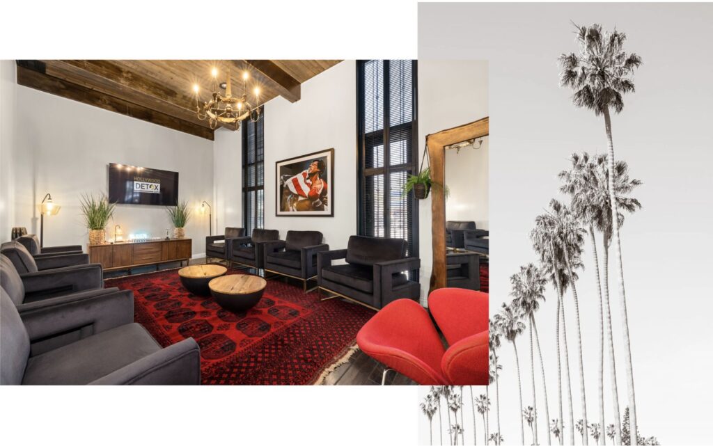 Modern living space for hollywooddetox