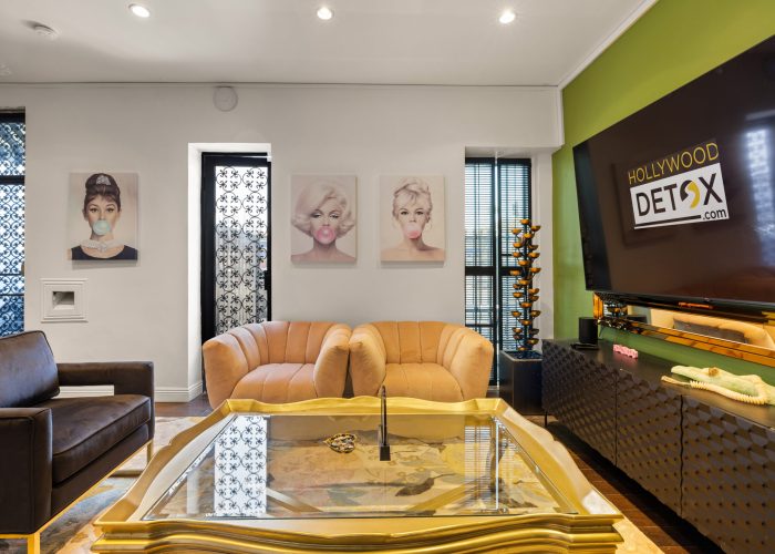 Stylish modern living room